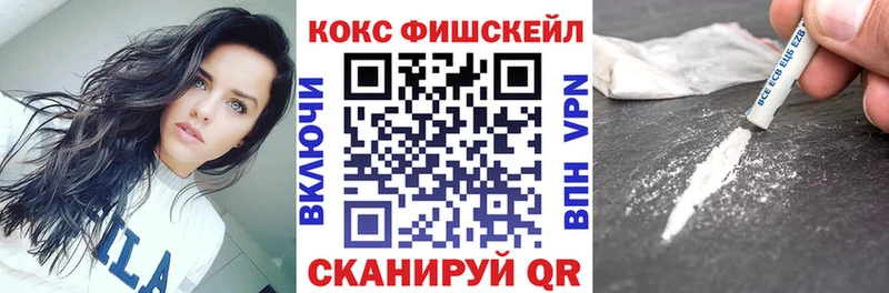 где найти   Суджа  КОКАИН Fish Scale 