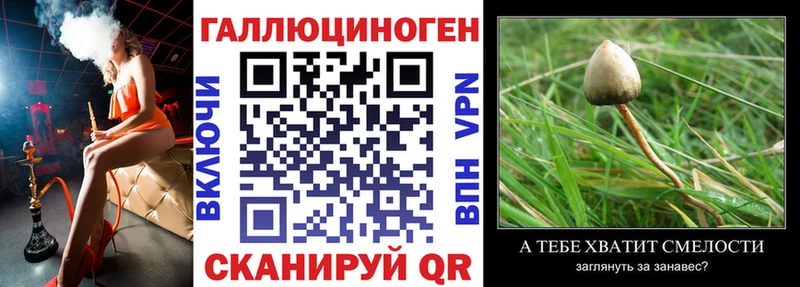 Псилоцибиновые грибы GOLDEN TEACHER  Суджа 